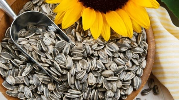 Sopreden’s Sunflower Kernel Bakery Grade: A New Favorite in the Baking Industry