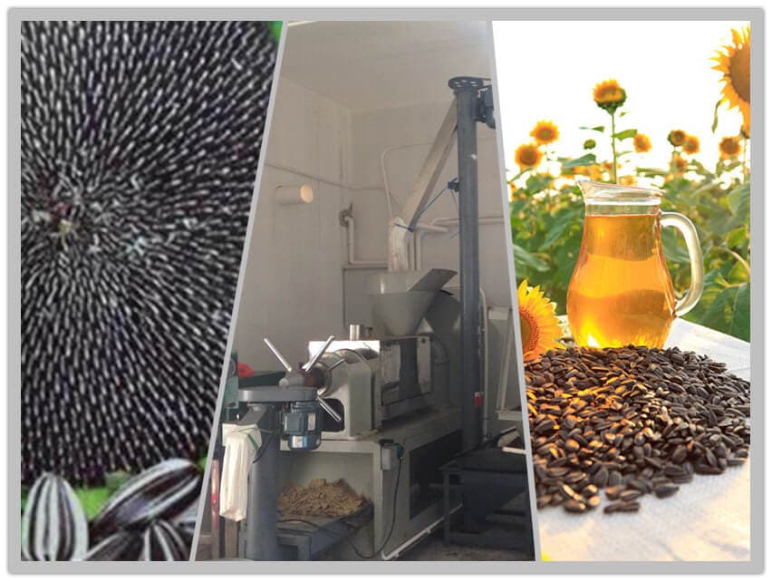 Sopreden Introduces Sunflower Crude Oil to Its Product Line