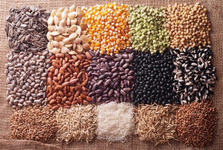 Discover the Benefits of Sopreden’s Premium Seed Selection