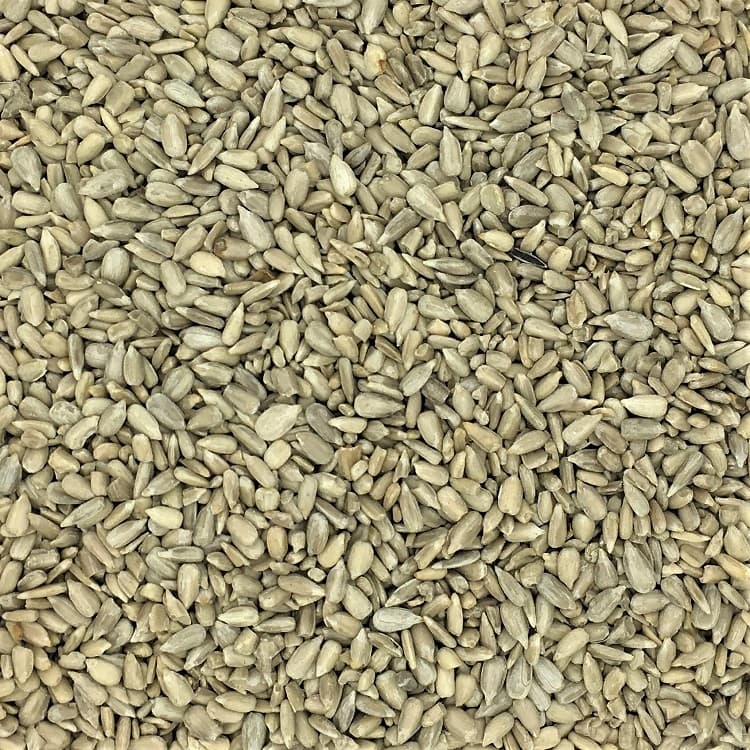 Specialized Sunflower Processing